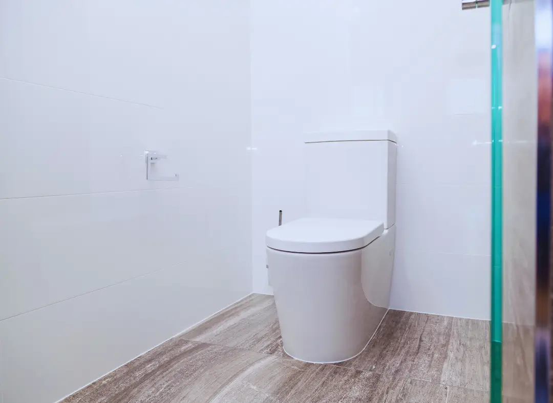 Remplacement de wc Saint-Saturnin-lès-Avignon